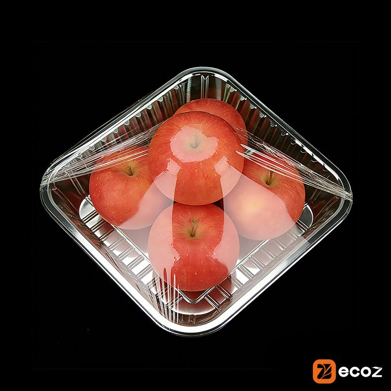 product-790-790 product-790-790